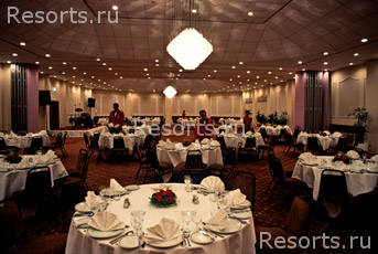 Sheraton Montazah Hotel 7
